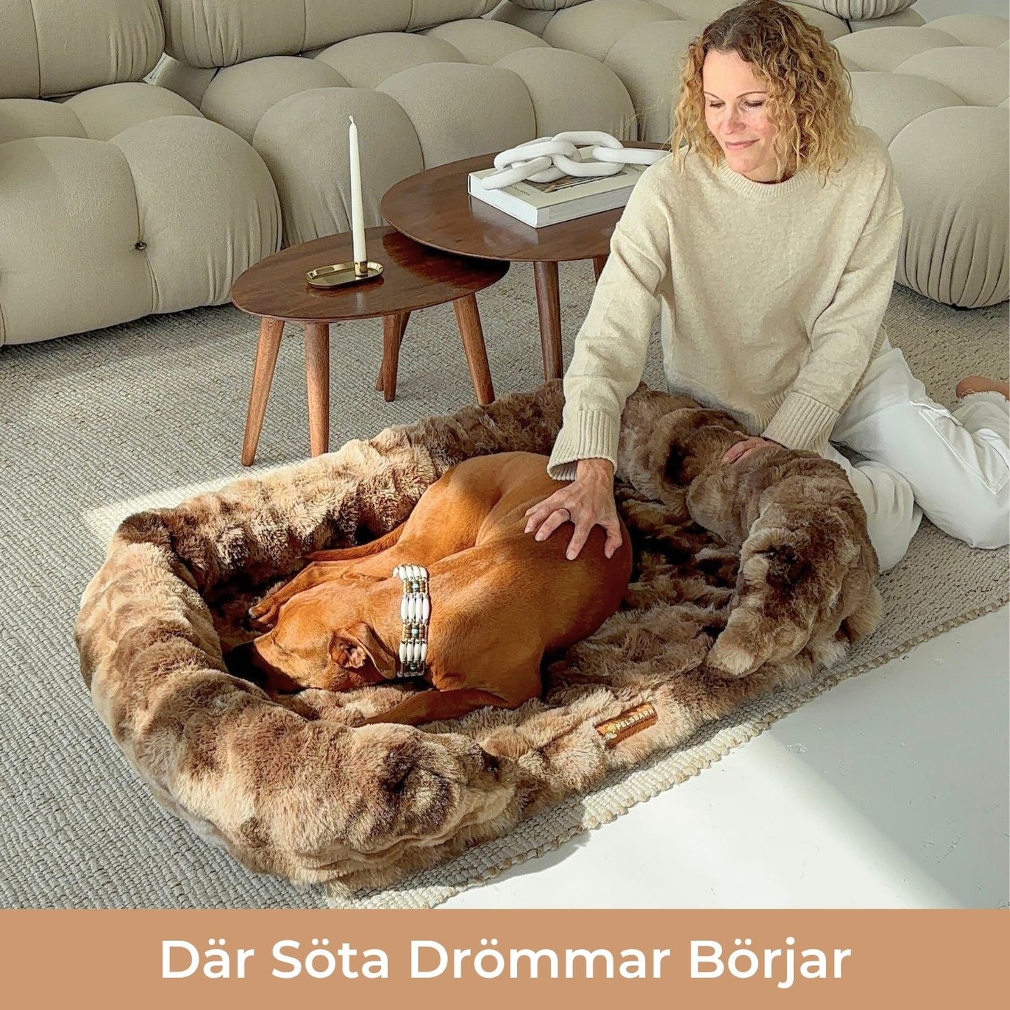 Ge Din Hund Gåvan Av Läkande Sömn