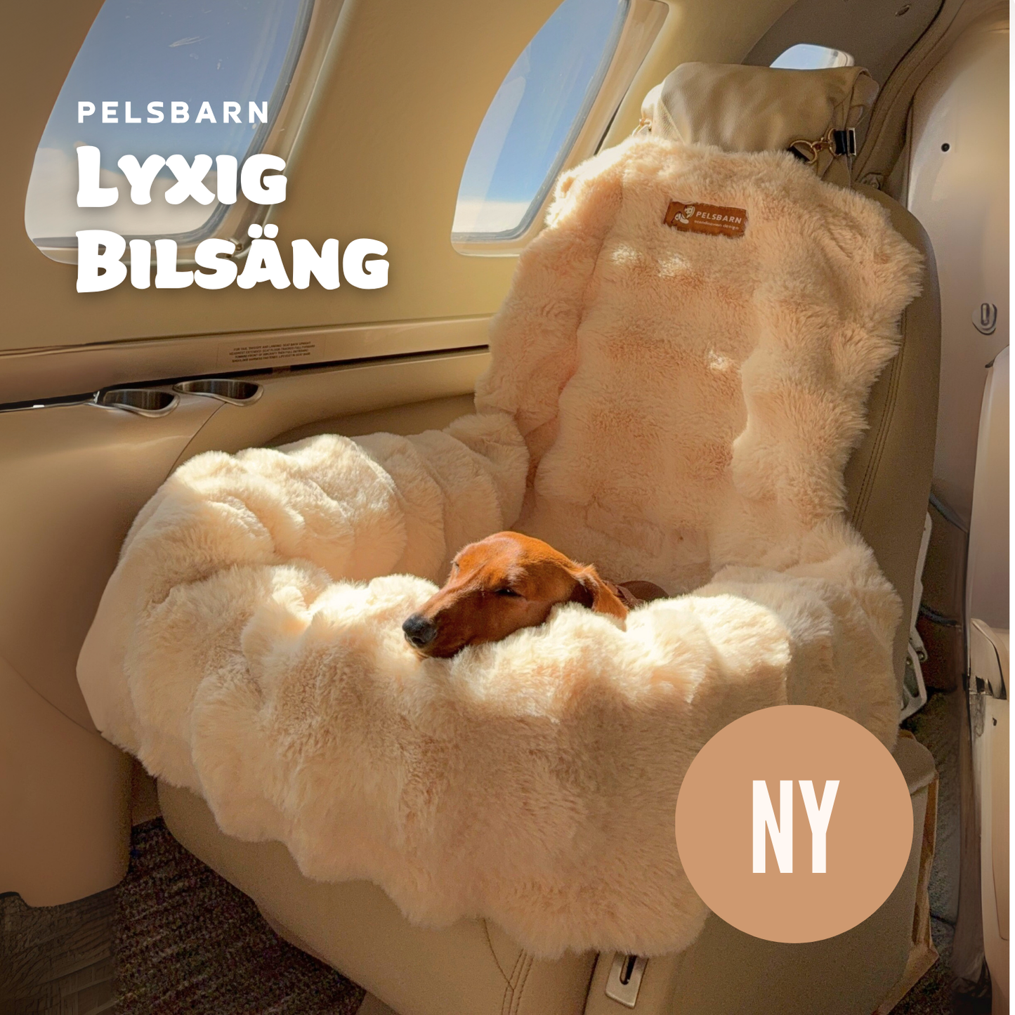 Lyxig Bilsäng