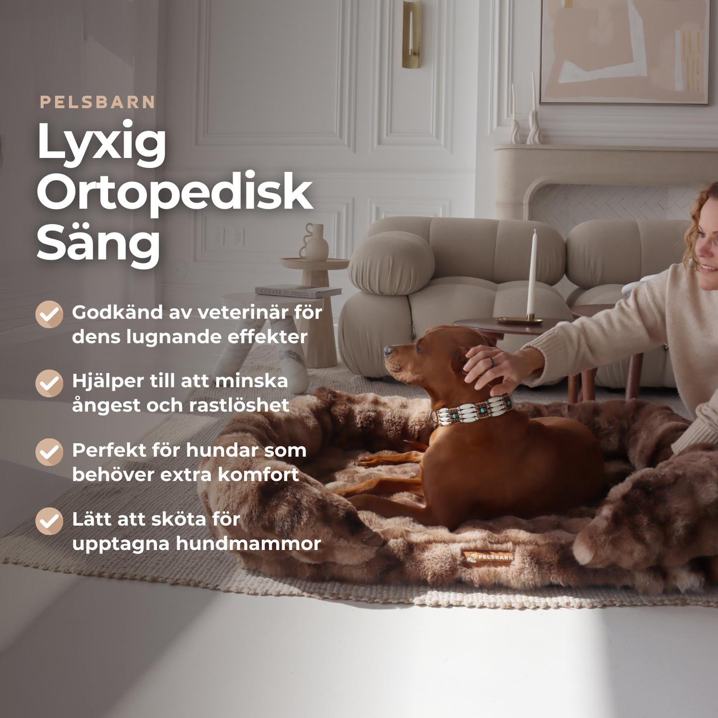 Ge Din Hund Gåvan Av Läkande Sömn
