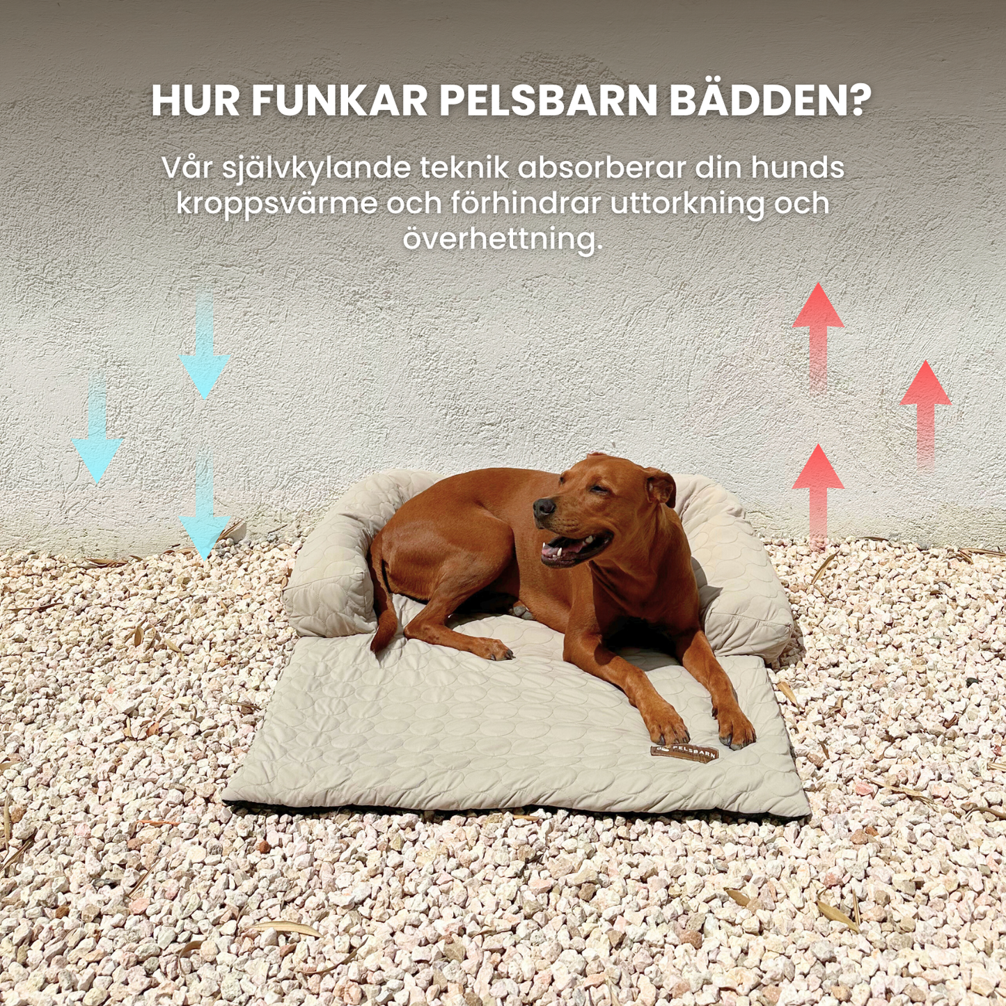 Pelsbarn Mysig Kylbädd