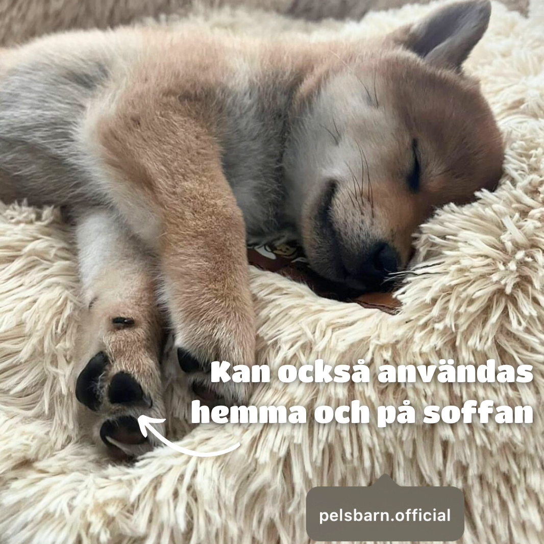 Pelsbarn Skyddande Bilsäng