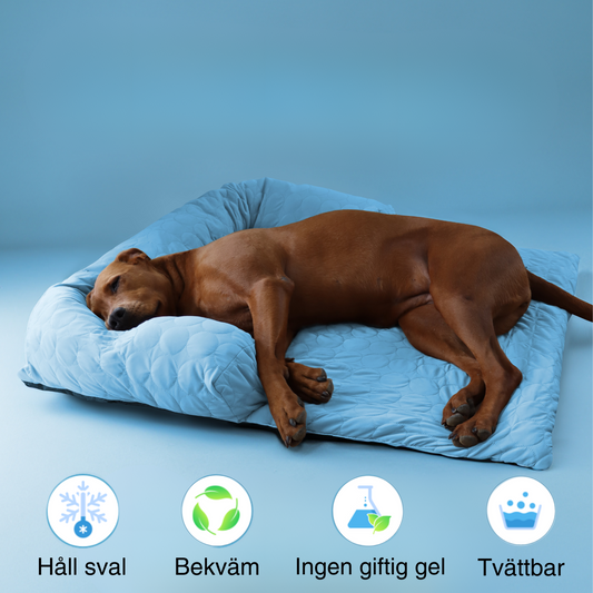 Pelsbarn Mysig Kylbädd