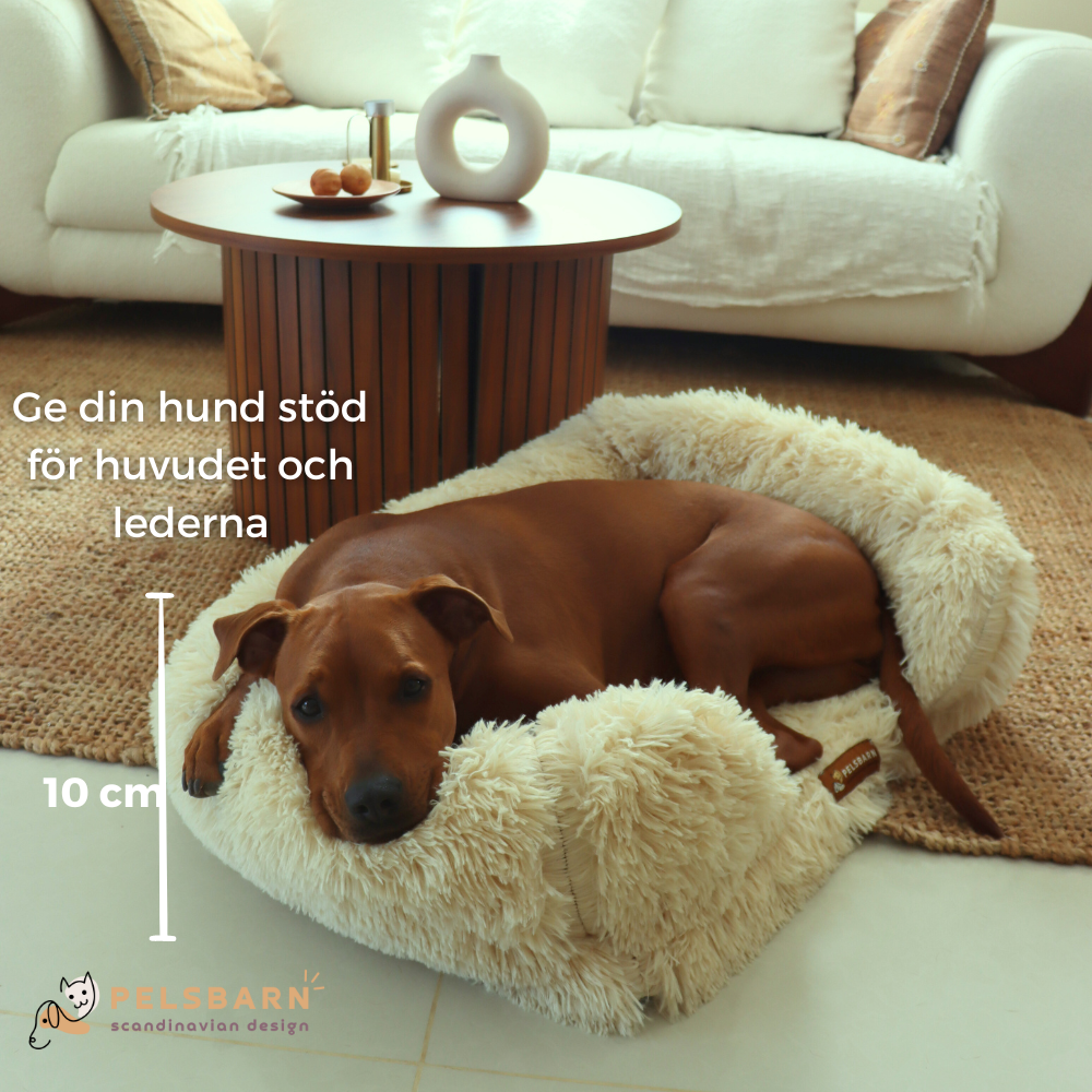Ortopedisk Lugnande Hundsäng