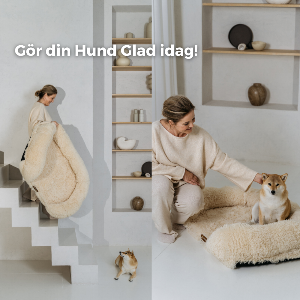 Ortopedisk Lugnande Hundsäng