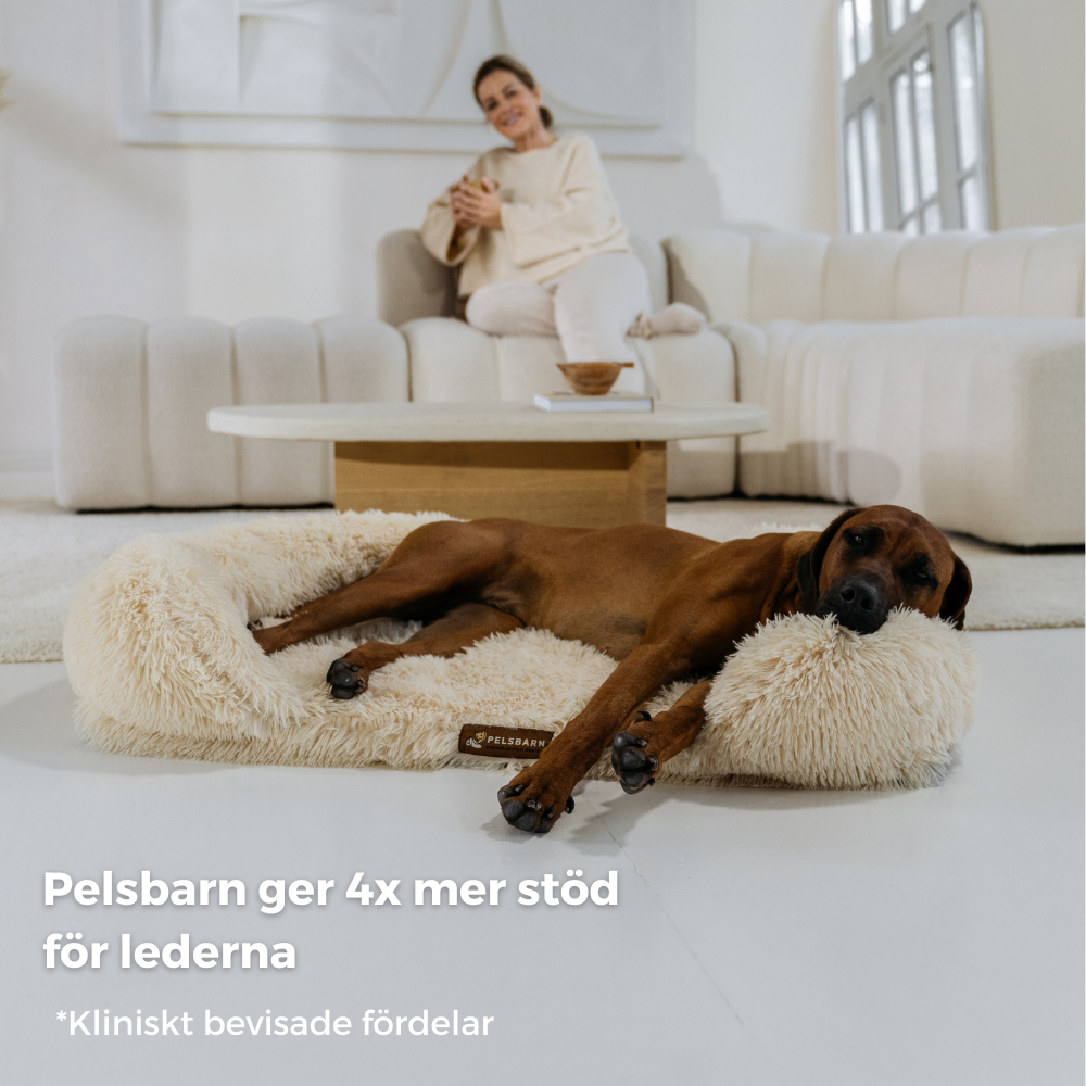 Ortopedisk Lugnande Hundsäng