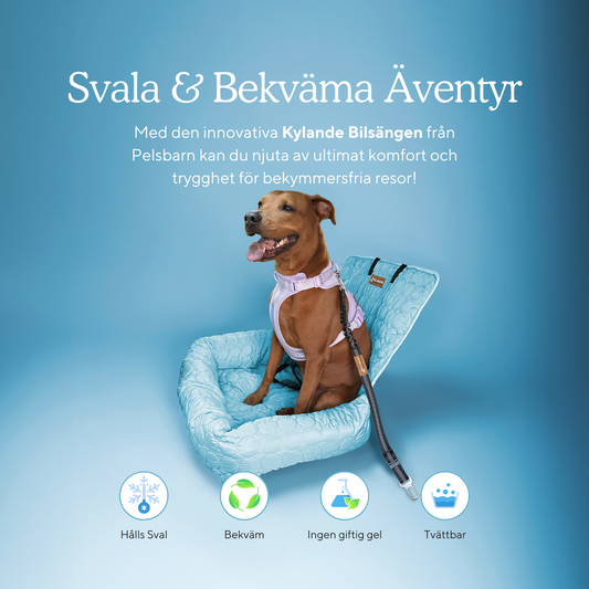 Pelsbarn Kylande Bilsäng