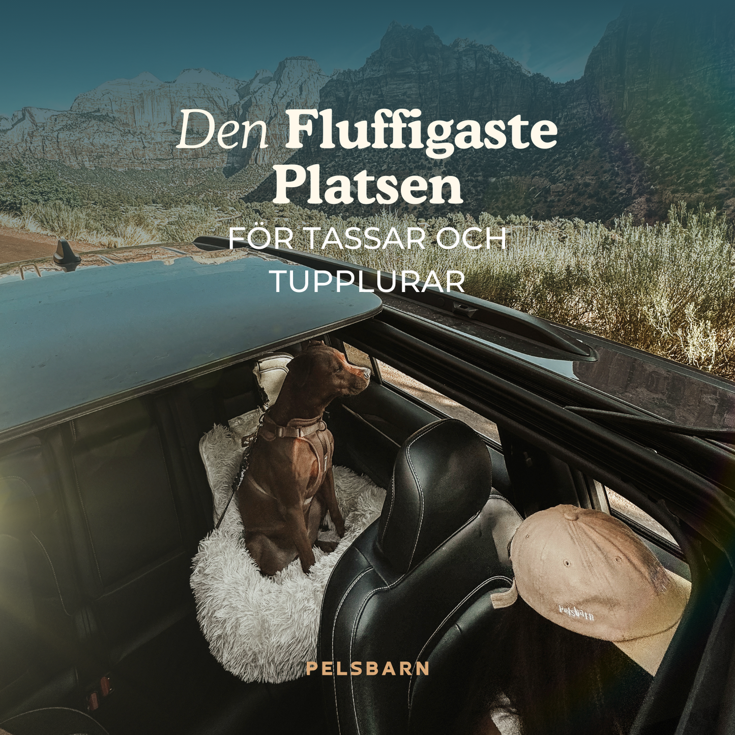 Pelsbarn Skyddande Bilsäng 2.0