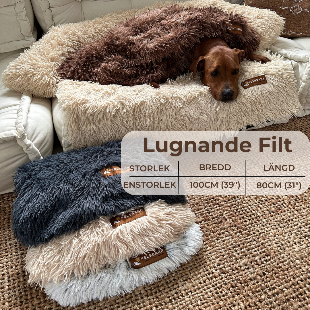 Lugnande Filt