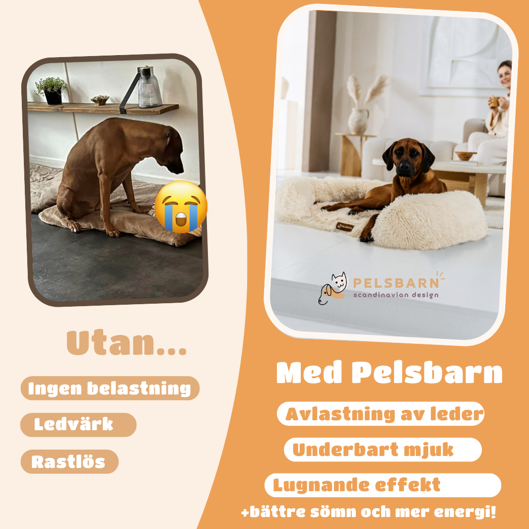 Ortopedisk Lugnande Hundsäng