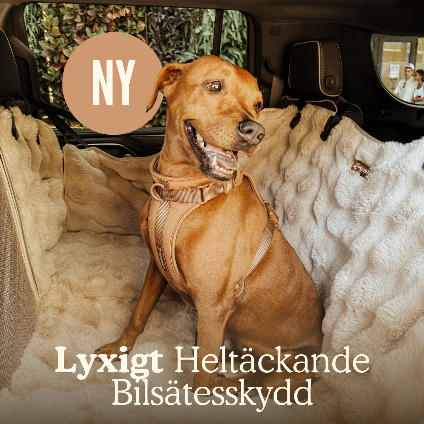 Lyxigt Heltäckande Bilsätesskydd