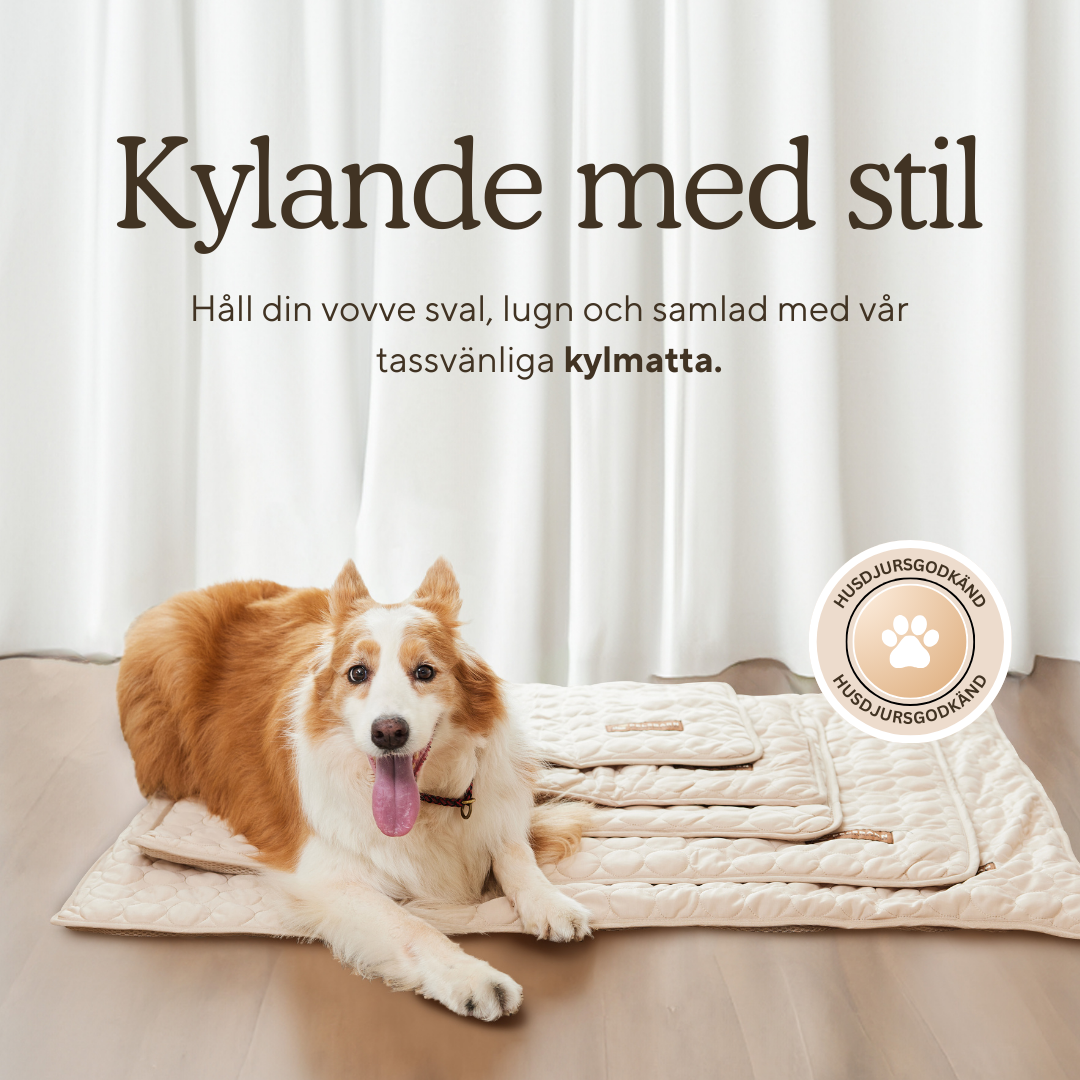 Pelsbarn Kylmatta (4x mer effektiv)
