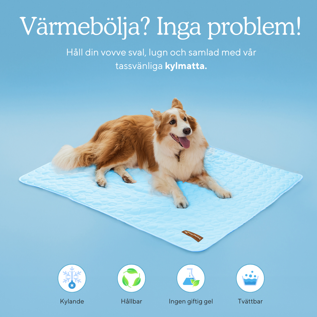 Pelsbarn Kylmatta (4x mer effektiv)