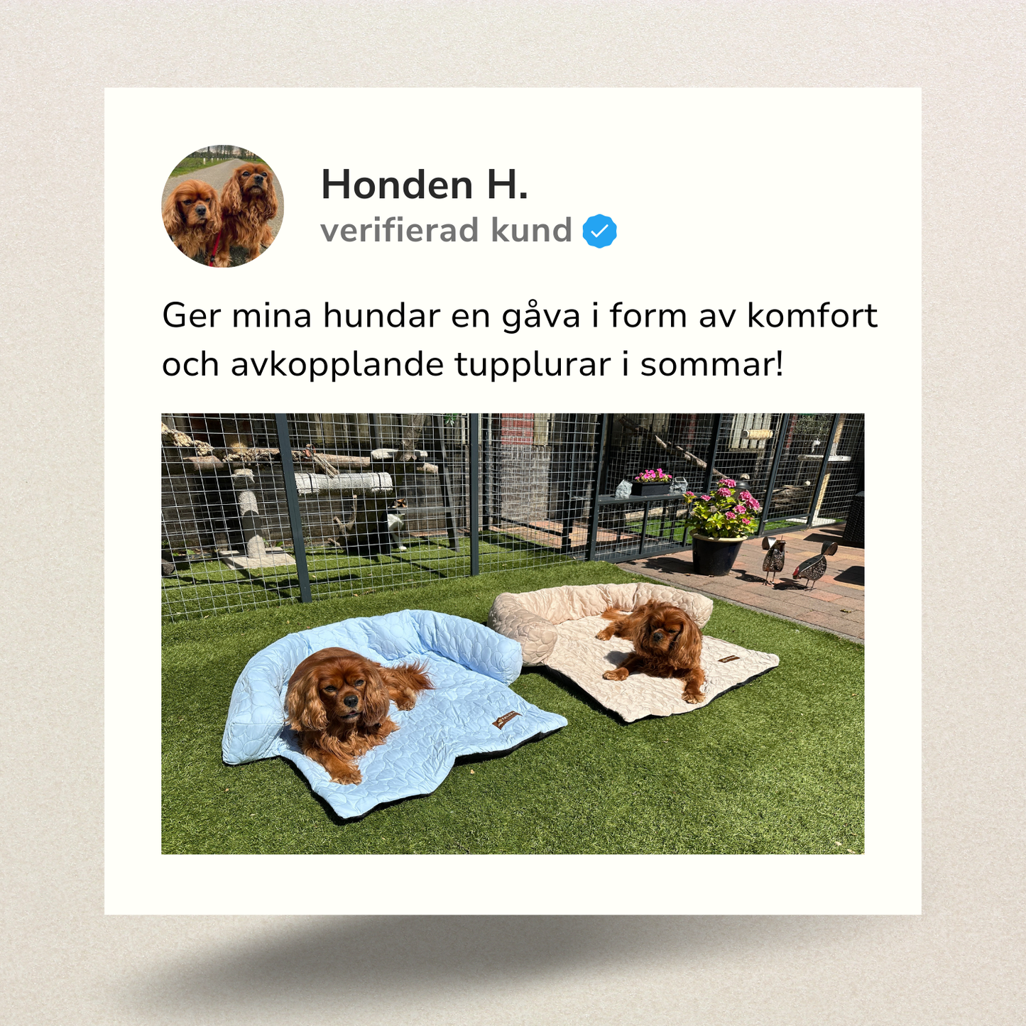 Pelsbarn Mysig Kylbädd