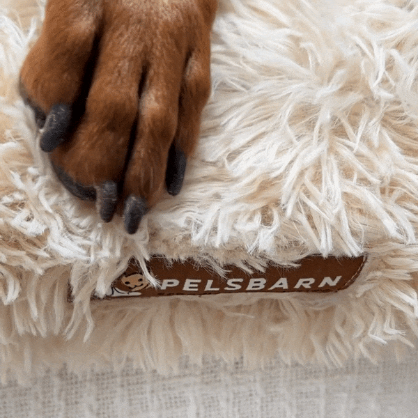 Ortopedisk Lugnande Hundsäng