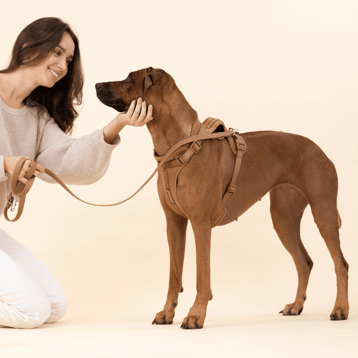 Pelsbarn Hundsele Antidragsele