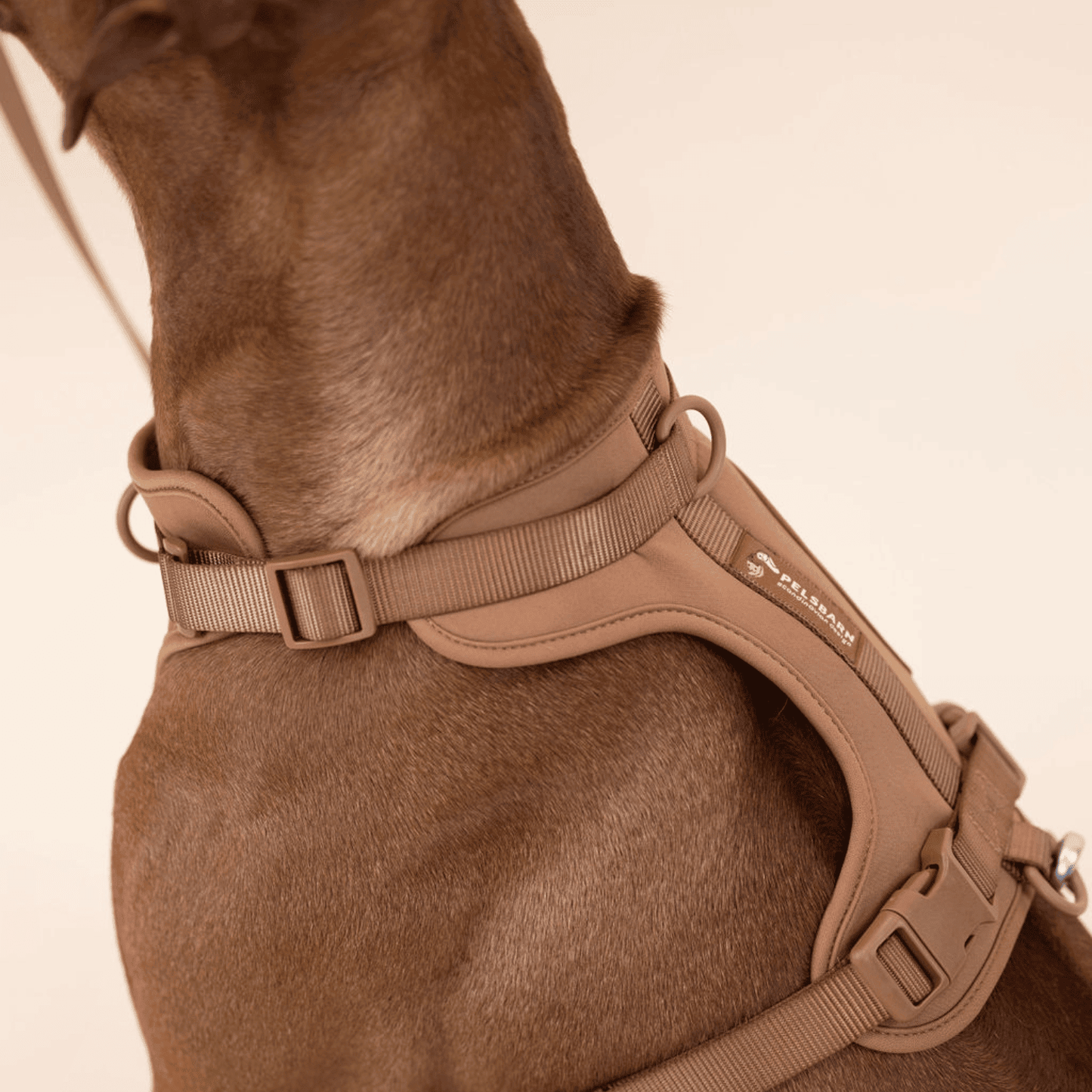 Pelsbarn Hundsele Antidragsele