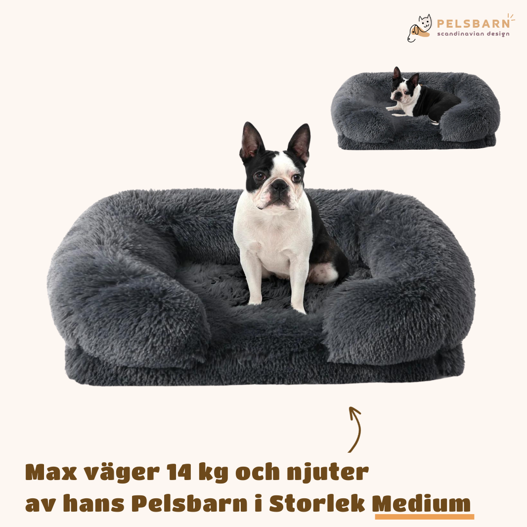 Ortopedisk Lugnande Hundsäng