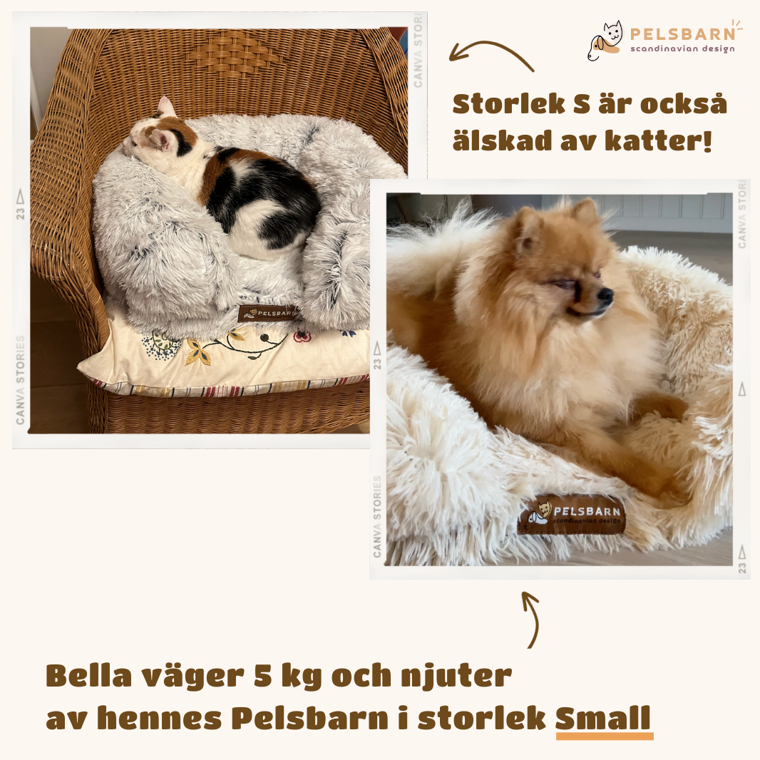 Ortopedisk Lugnande Hundsäng