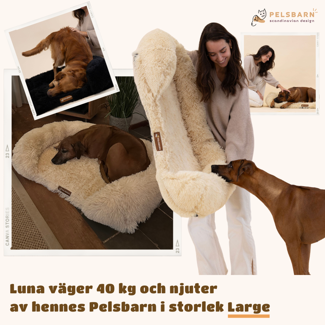 Ortopedisk Lugnande Hundsäng