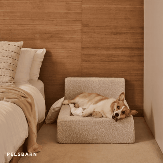 Riktiga Ortopediska Hundsängen