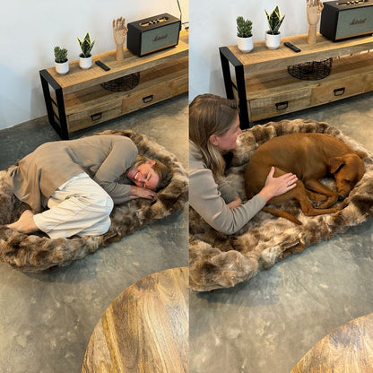 Ge Din Hund Gåvan Av Läkande Sömn