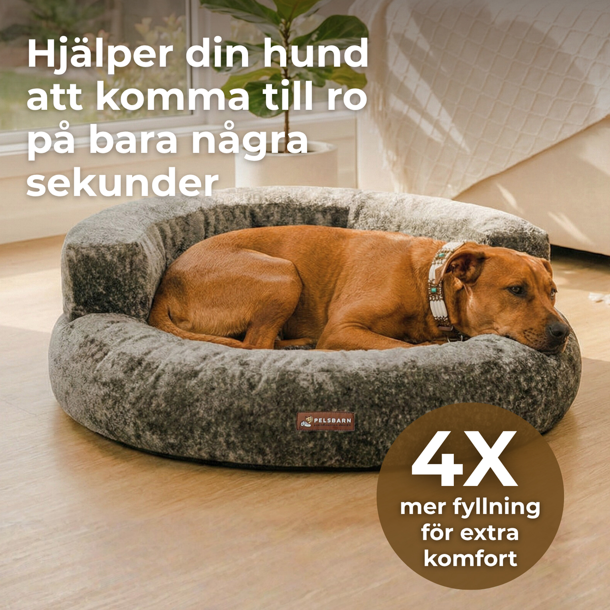 Cloud Velvet Hundsäng