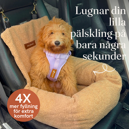 Teddy Bilsäng
