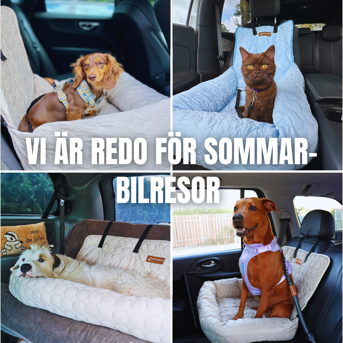 Pelsbarn Kylande Bilsäng
