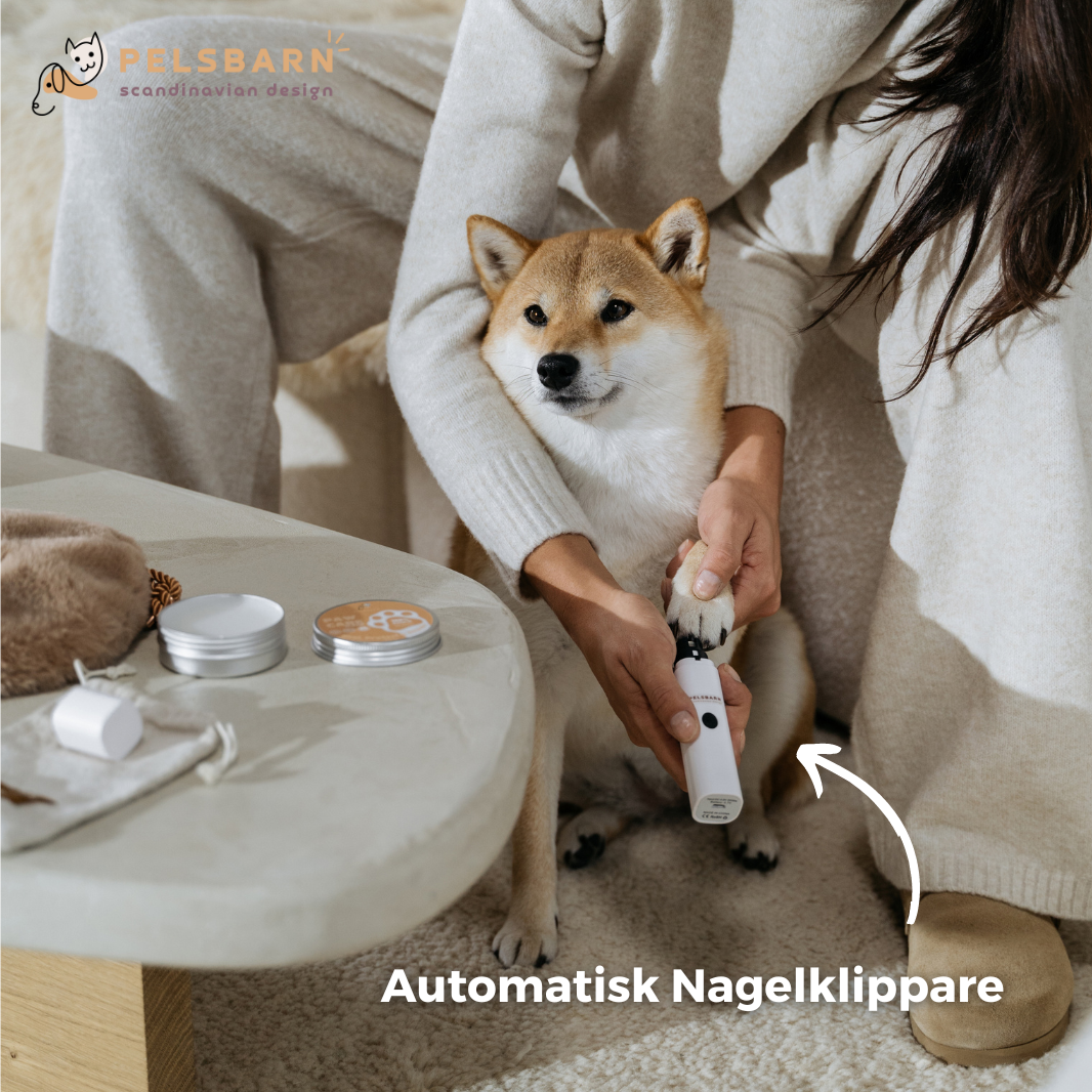Tassvårdset till Vovve (Presentgåva)