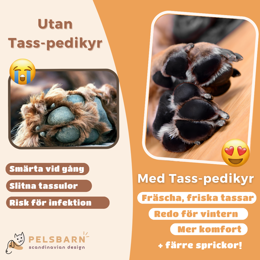 Tassvårdset till Vovve (Presentgåva)