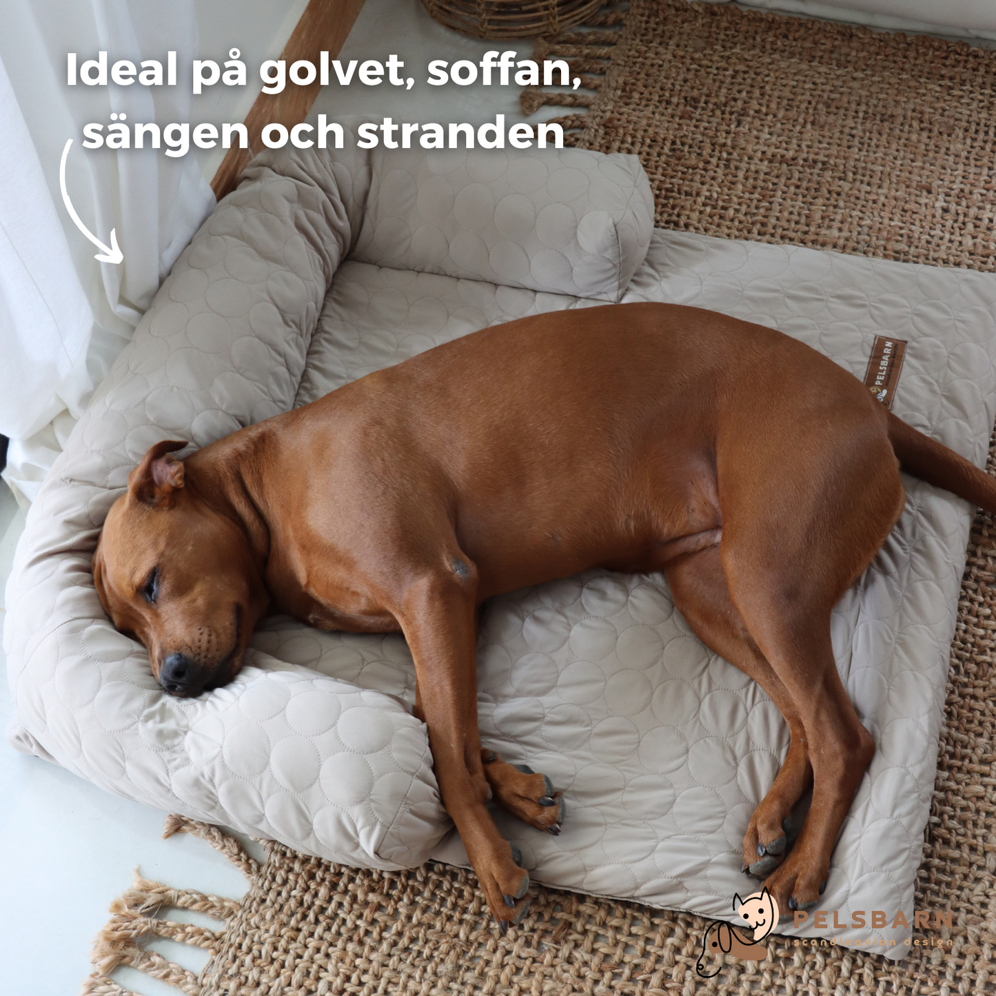 Pelsbarn Mysig Kylbädd