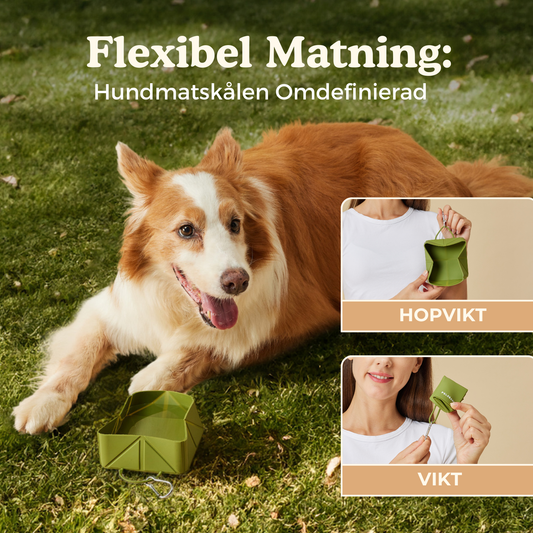 Hopfällbar Hundmatskål