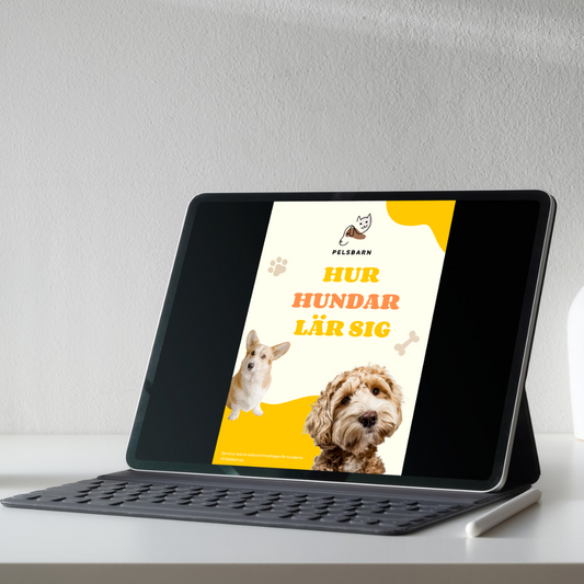 FREE - How Dogs Learn Ebook