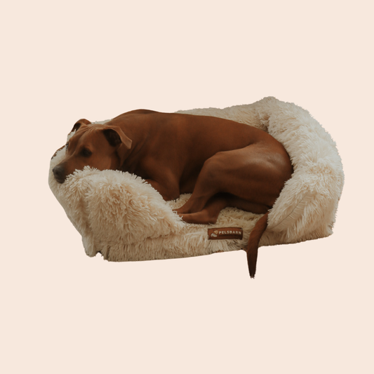 Ortopedisk Lugnande Hundsäng