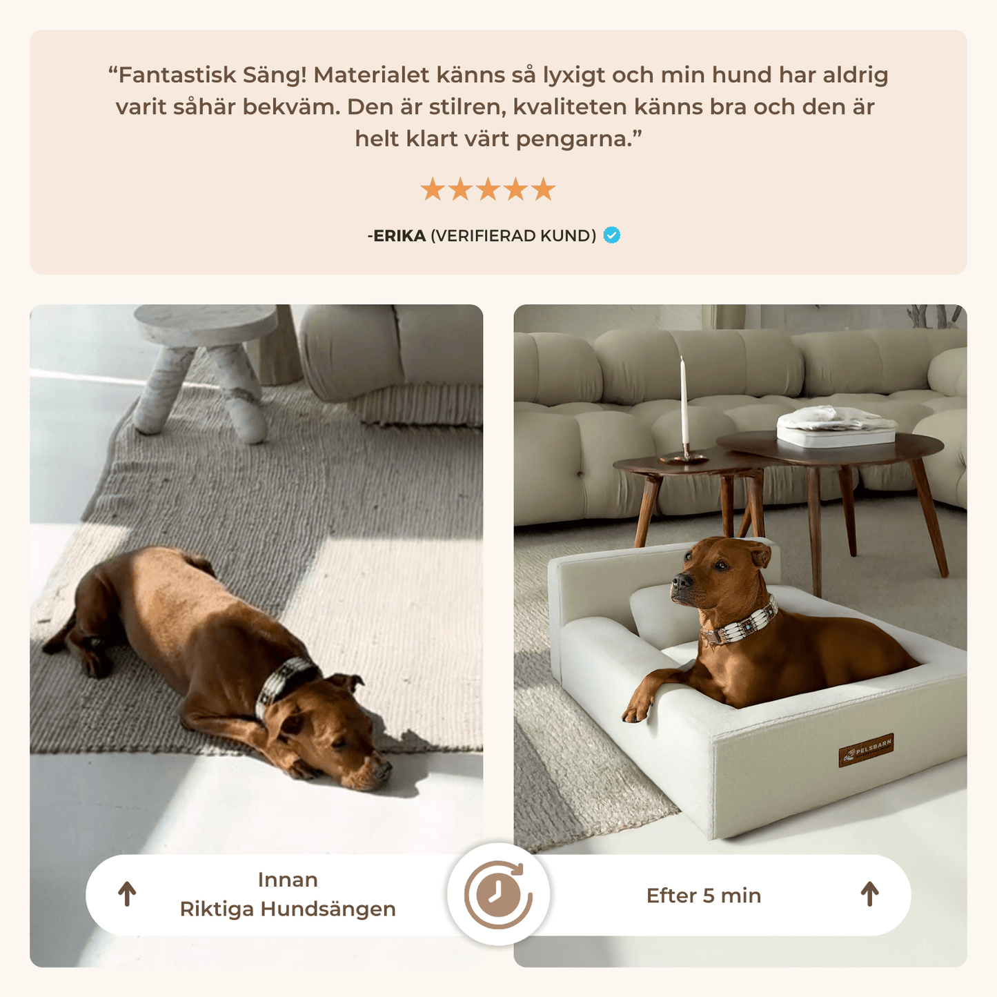 Riktiga Ortopediska Hundsängen