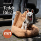 Teddy Bilsäng