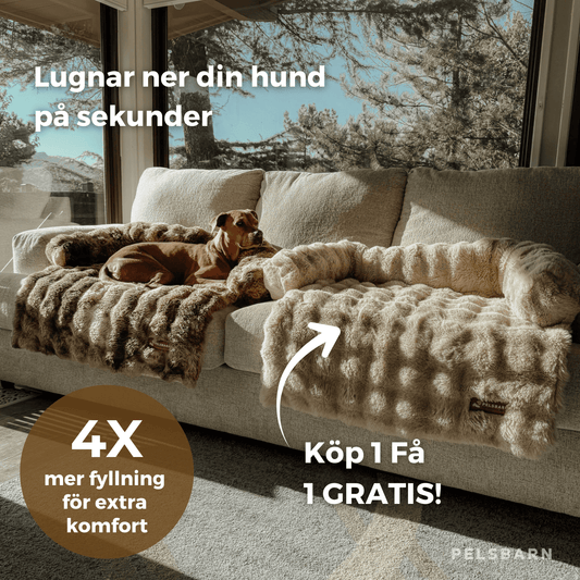 Pelsbarn Lyxigt Mysiga Hundsäng (1+1 GRATIS)
