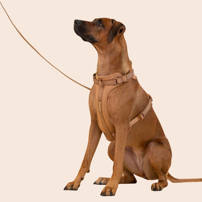 Pelsbarn Hundsele Antidragsele